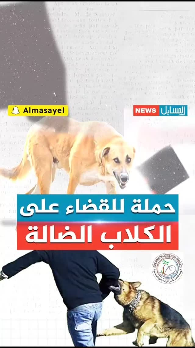 ارسل بواسطة شبكة المسايل الإعلامية - تفاصيل الخبر في الصورة