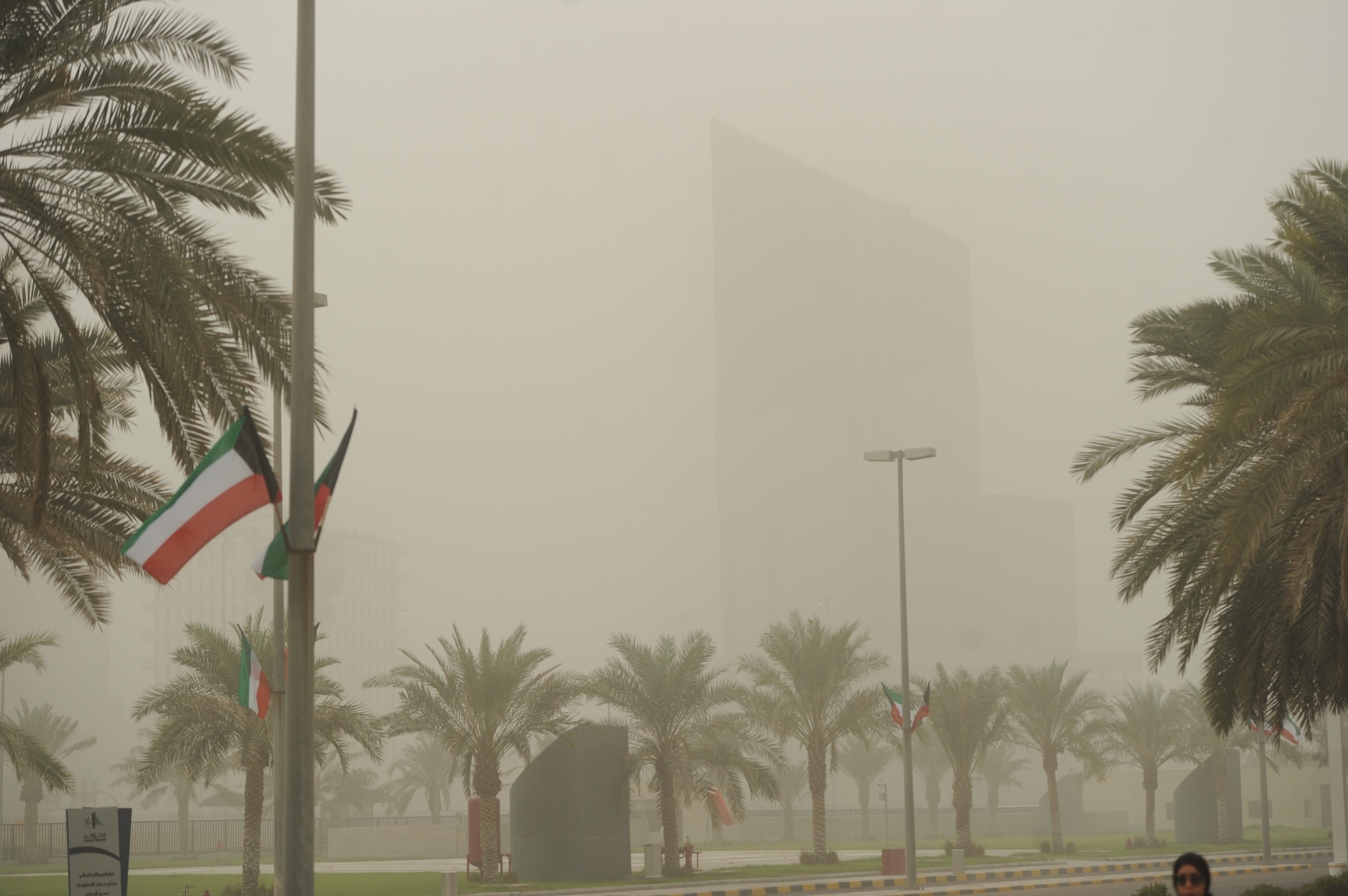 ارسل بواسطة الراي - تفاصيل الخبر في الصورة